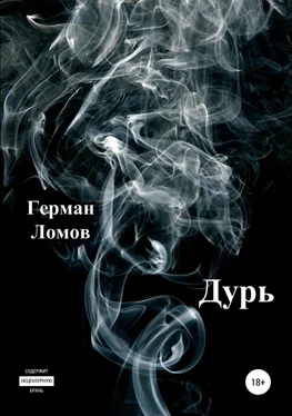 Герман Ломов Дурь обложка книги