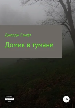Георгий Стрижанков Домик в тумане обложка книги