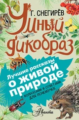 Геннадий Снегирев - Умный дикобраз. С вопросами и ответами для почемучек