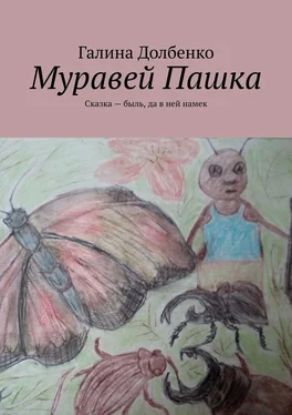 Галина Долбенко Муравей Пашка. Сказка – быль, да в ней намек обложка книги