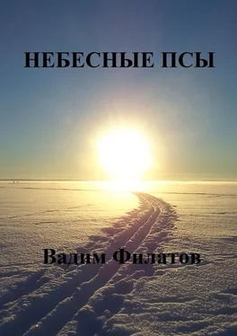 Вадим Филатов Небесные псы обложка книги