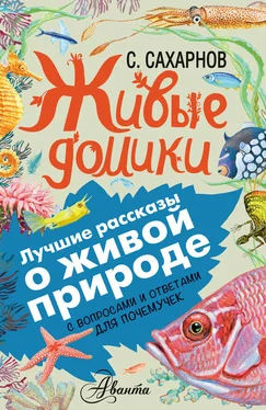 Святослав Сахарнов Живые домики. С вопросами и ответами для почемучек обложка книги