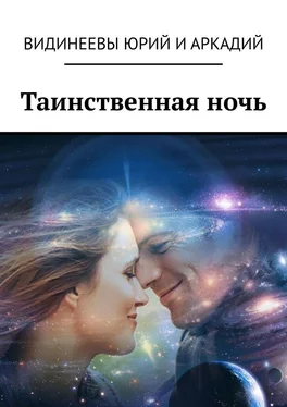 Юрий и Аркадий Видинеевы Таинственная ночь обложка книги