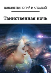 Юрий и Аркадий Видинеевы - Таинственная ночь