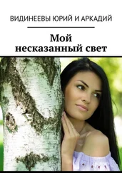 Юрий и Аркадий Видинеевы - Мой несказанный свет