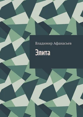 Владимир Афанасьев Элита обложка книги