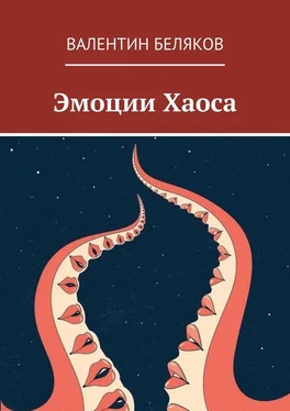 Валентин Беляков Эмоции Хаоса обложка книги