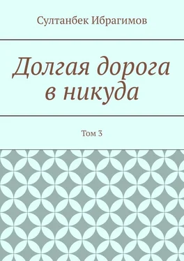 Султанбек Ибрагимов Долгая дорога в никуда. Том 3 обложка книги