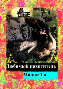 Моник Ти Любимый похититель обложка книги