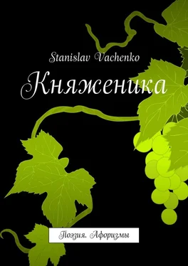 Stanislav Vachenko Княженика. Поэзия. Афоризмы обложка книги