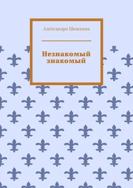 Александра Шишкина Незнакомый знакомый обложка книги