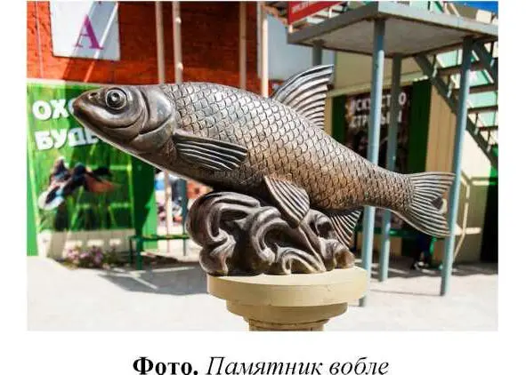 Обитает в Каспийском море составляет важный предмет промысла на нижней Волге - фото 11