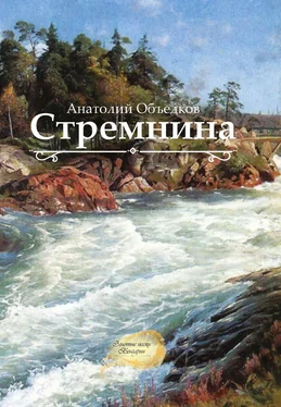 Анатолий Объедков Стремнина (сборник) обложка книги