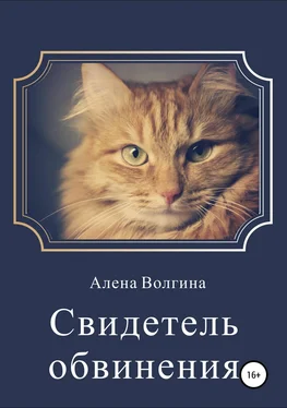 Алена Волгина Свидетель обвинения. Сборник рассказов обложка книги