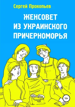 Сергей Прокопьев Женсовет из украинского Причерноморья обложка книги