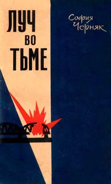 София Черняк Луч во тьме обложка книги