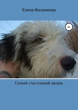 Елена Фаламеева Самый счастливый щенок обложка книги