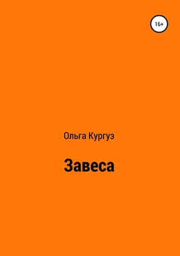 Ольга Кургуз Завеса обложка книги