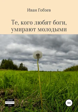 Иван Гобзев Те, кого любят боги, умирают молодыми обложка книги