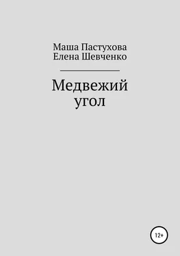 Елена Шевченко Медвежий угол обложка книги