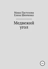 Елена Шевченко - Медвежий угол