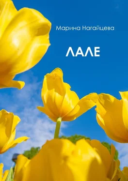 Марина Нагайцева Лале обложка книги