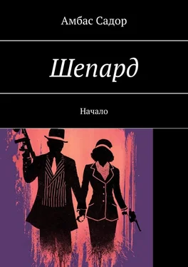 Амбас Садор Шепард. Начало обложка книги