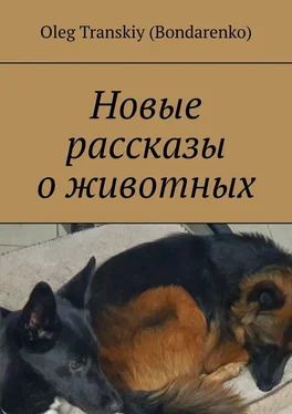 Oleg Transkiy (Bondarenko) Новые рассказы о животных обложка книги