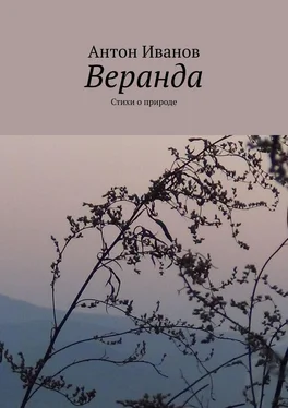 Антон Иванов Веранда. Стихи о природе обложка книги