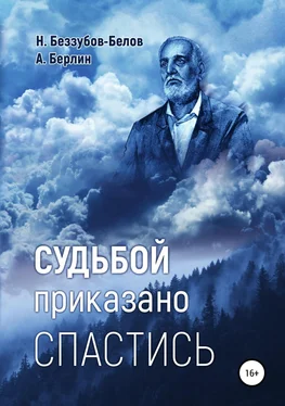 Александр Берлин Судьбой приказано спастись обложка книги