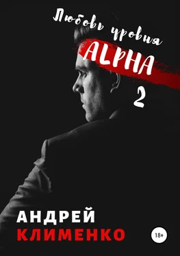 Андрей Клименко Любовь уровня ALPHA 2 обложка книги