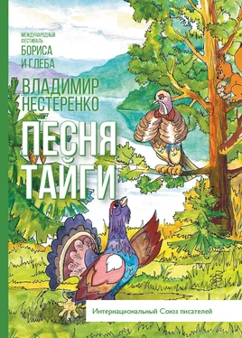 Владимир Нестеренко Песня Тайги обложка книги