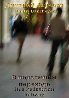 Дмитрий (Dmitri) Данчеев (Dancheyev) В подземном переходе. In a Pedestrian Subway обложка книги