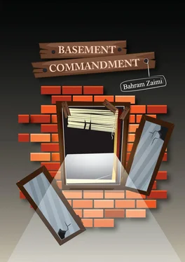 Bahram Zaimi BASEMENT COMMANDMENT. Edited by Rowan Silva обложка книги