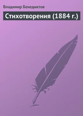 Владимир Бенедиктов Стихотворения (1884 г.) обложка книги