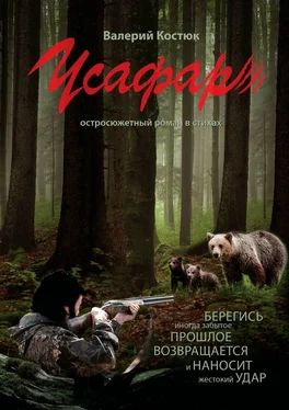 Валерий Костюк Усафар. Остросюжетный роман в стихах обложка книги