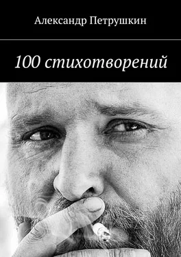 Александр Петрушкин 100 стихотворений обложка книги