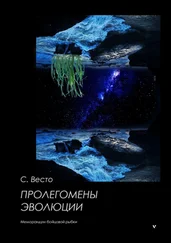 Сен Сейно Весто - Пролегомены эволюции. Меморандум бойцовой рыбки