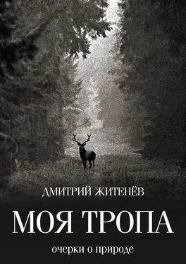 Дмитрий Житенёв Моя тропа. Очерки о природе обложка книги