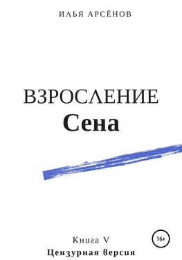 Илья Арсёнов Сен. Книга пятая. Взросление Сена обложка книги