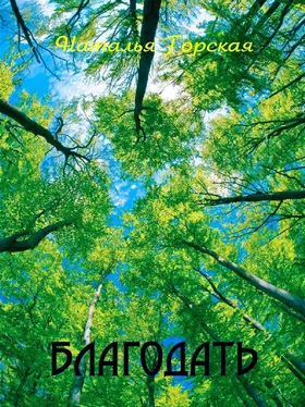 Наталья Горская Благодать обложка книги