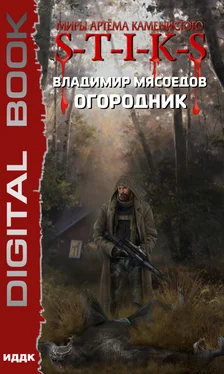 Владимир Мясоедов S-T-I-K-S. Огородник обложка книги