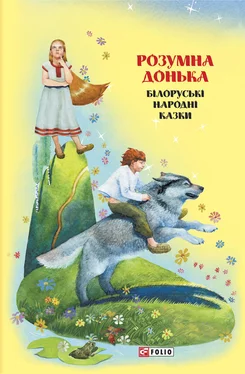 Array Folk art (Folklore) Казки добрих сусідів. Розумна донька. Білоруські народні казки обложка книги