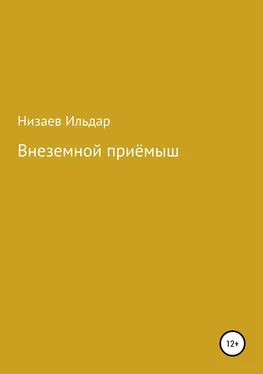 Ильдар Низаев Внеземной приёмыш обложка книги