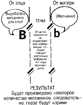 Рисунок 52 Рисунок 3 Рисунок 4 Рисунок 51 - фото 57