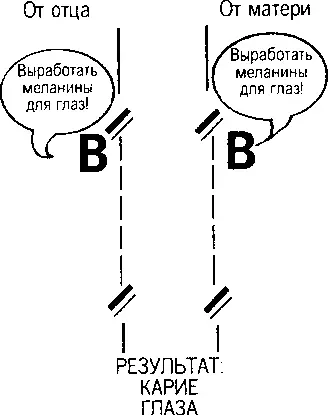 Рисунок 3 Рисунок 4 Рисунок 51 Рисунок 52 - фото 58