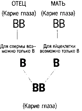 Рисунок 51 Рисунок 52 Рисунок 53 Рисунок 5 - фото 60