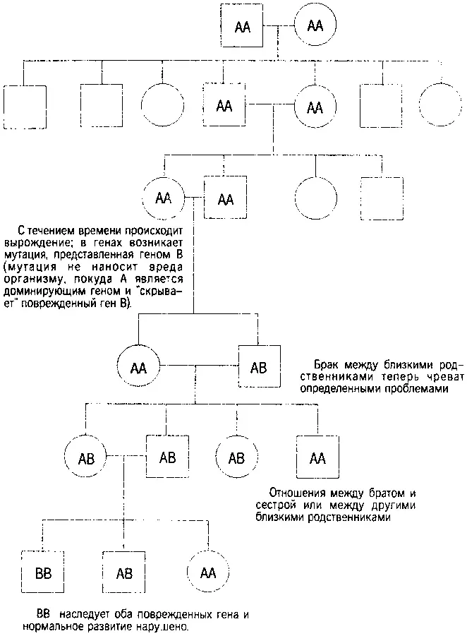 Но данное обстоятельство столь характерное для нашего времени не могло быть - фото 74