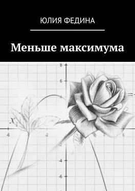 Юлия Федина Меньше максимума обложка книги