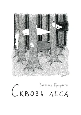 Вячеслав Бухряков Сквозь леса обложка книги